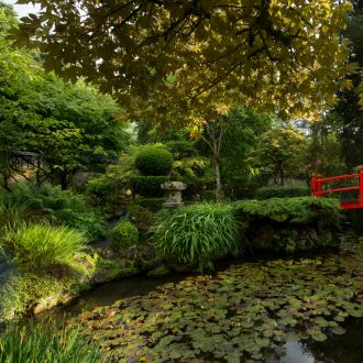 Japanese Gardens (1)