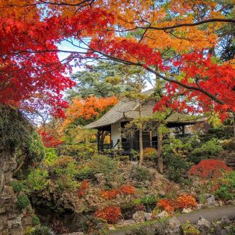 Japanese Gardens in Autumn