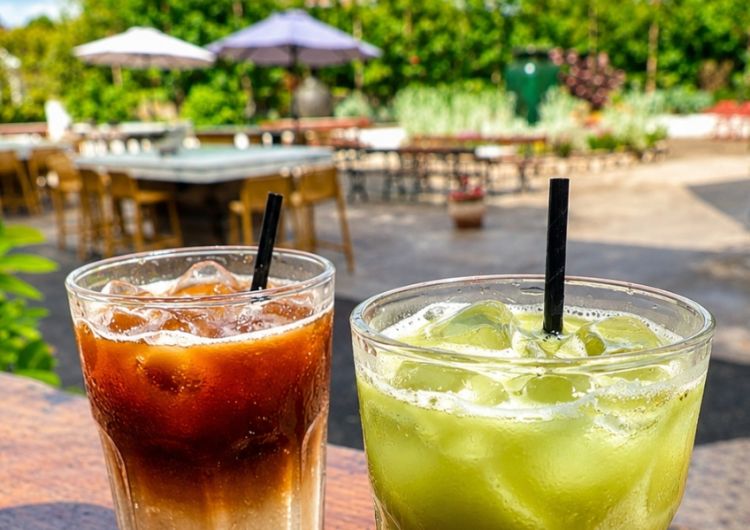 Iced coffees in Vi's Gardens