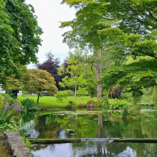 Feature circles www.lawlors.ie_v2