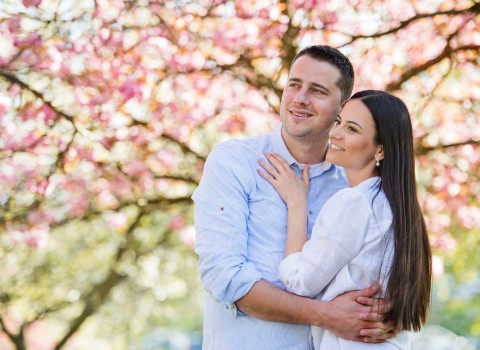 Landing page feature boxes www.lawlors.ie_v2