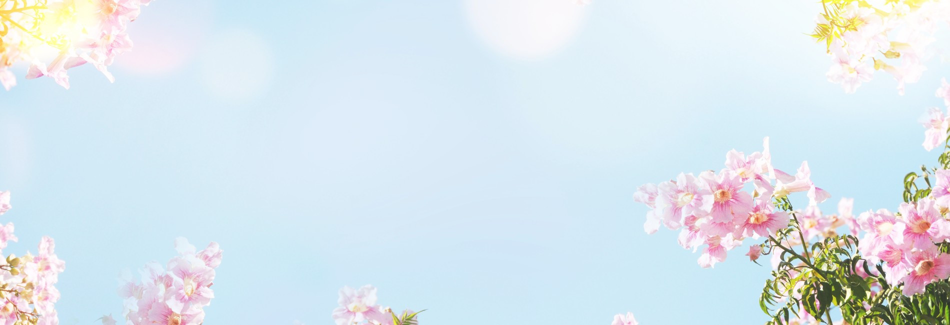 Landing page banner template www.lawlors.ie_v2