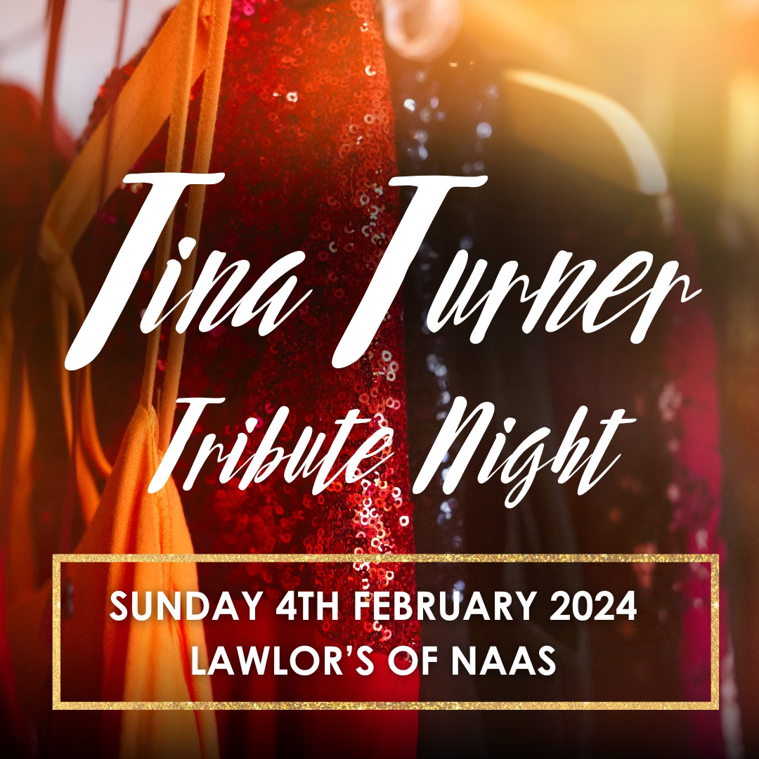 tina turner tribute night